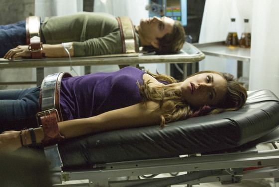 The Vampire Diaries The Vampire Diaries
